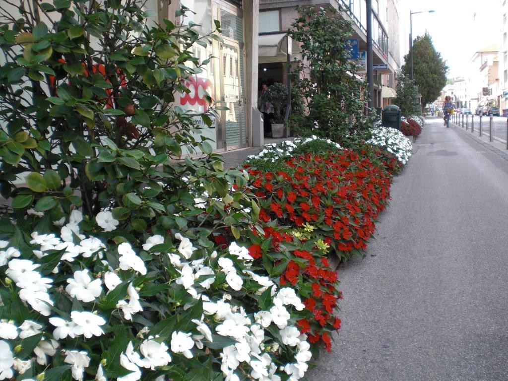 5 aiuole viale Martelli